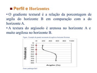 Perfil e Horizontes
• A textura do argissolo é arenosa no horizonte A e
muito argilosa no horizonte B.
Figura . Exemplo do grande incremento de argila no horizonte B textura
Fonte: pedologia fácil
• O gradiente textural é a relação da porcentagem de
argila do horizonte B em comparação com a do
horizonte A.
 