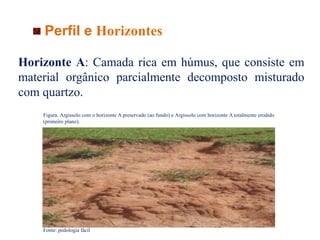 Perfil e Horizontes
Horizonte A: Camada rica em húmus, que consiste em
material orgânico parcialmente decomposto misturado
com quartzo.
Figura. Argissolo com o horizonte A preservado (ao fundo) e Argissolo com horizonte A totalmente erodido
(primeiro plano).
Fonte: pedologia fácil
 