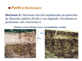 Perfil e Horizontes
Horizonte E: Horizonte eluviail empobrecido em partículas
de dimensão argilosa devido à sua migração. Encontram-se,
geralmente, sob o horizonte A.
E
Bt
A
Mudança textural abrúpta ocorre à profundidades variadas.
35cm
60cm
 