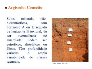 Argissolo: Conceito
Solos minerais, não-
hidromórficos, com
horizonte A ou E seguido
de horizonte B textural, de
cor avermelhada até
amarelada. Podem ser
eutróficos, distróficos ou
álicos. Têm profundidade
variadas e ampla
variabilidade de classes
texturais. Fonte: Santos; etal; 2012.
 