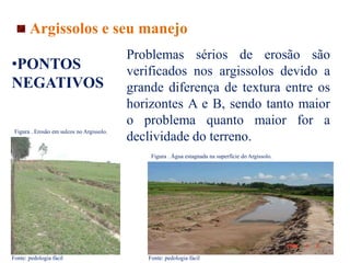 Problemas sérios de erosão são
verificados nos argissolos devido a
grande diferença de textura entre os
horizontes A e B, sendo tanto maior
o problema quanto maior for a
declividade do terreno.
Figura . Erosão em sulcos no Argissolo.
Fonte: pedologia fácil
Figura . Água estagnada na superfície do Argissolo.
Fonte: pedologia fácil
•PONTOS
NEGATIVOS
Argissolos e seu manejo
 