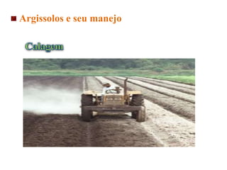 Argissolos e seu manejo
 