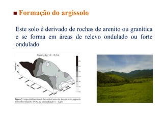 Formação do argissolo
Este solo é derivado de rochas de arenito ou granítica
e se forma em áreas de relevo ondulado ou forte
ondulado.
 
