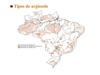 Tipos de argissolo
 