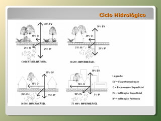 Ciclo Hidrológico 