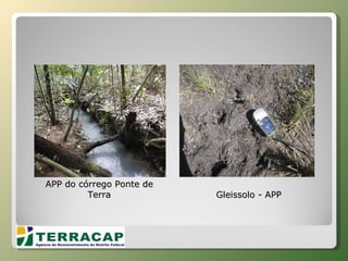 APP do córrego Ponte de Terra Gleissolo - APP 