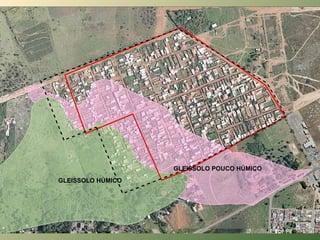 GLEISSOLO HÚMICO GLEISSOLO POUCO HÚMICO 