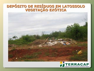 DEPÓSITO DE RESÍDUOS EM LATOSSOLO VEGETAÇÃO EXÓTICA 