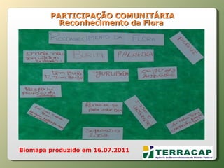   PARTICIPAÇÃO COMUNITÁRIA Reconhecimento  da Flora Biomapa produzido em 16.07.2011 