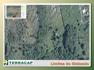 Limites do Gleissolo 