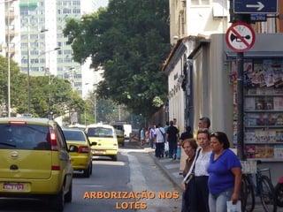 ARBORIZAÇÃO NOS LOTES 