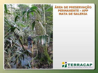 ÁREA DE PRESERVAÇÃO PERMANENTE - APP MATA DE GALERIA 