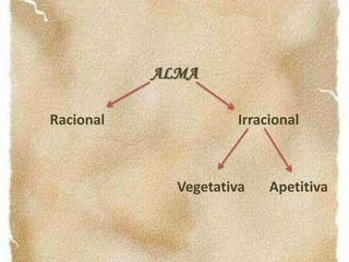 A Ética a Nicómacoocupa-se do estudo sobre a felicidade humana.