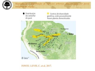 FONTE: LEVIS, C. et al, 2017.
Mapeamento e distribuição de espécies arbóreas domesticadas por povos
indígenas na região.
 