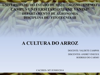 UNIVERSIDADE DO ESTADO DE MATO GROSSO - UNEMAT
CAMPUS UNIVERSITARIO “JANE VANINI“
DEPARTAMENTO DE AGRONOMIA
DISCIPLINA DE: FITOTECNIA III
A CULTURA DO ARROZ
DOCENTE: VALDETE CAMPOS
DISCENTES: ANDRÉ VINICIUS
RODRIGO DO CARMO
CACERES- MT JUNHO/2014
 