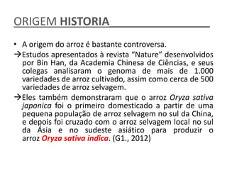 ORIGEM HISTORIA________________
• A origem do arroz é bastante controversa.
Estudos apresentados à revista “Nature” desenvolvidos
por Bin Han, da Academia Chinesa de Ciências, e seus
colegas analisaram o genoma de mais de 1.000
variedades de arroz cultivado, assim como cerca de 500
variedades de arroz selvagem.
Eles também demonstraram que o arroz Oryza sativa
japonica foi o primeiro domesticado a partir de uma
pequena população de arroz selvagem no sul da China,
e depois foi cruzado com o arroz selvagem local no sul
da Ásia e no sudeste asiático para produzir o
arroz Oryza sativa indica. (G1., 2012)
 