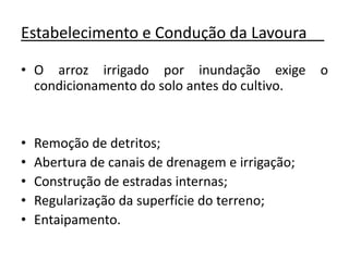Estabelecimento e Condução da Lavoura__
• O arroz irrigado por inundação exige o
condicionamento do solo antes do cultivo.
• Remoção de detritos;
• Abertura de canais de drenagem e irrigação;
• Construção de estradas internas;
• Regularização da superfície do terreno;
• Entaipamento.
 