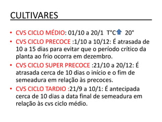 CULTIVARES___________________
• CVS CICLO MÉDIO: 01/10 a 20/1 T°C 20°
• CVS CICLO PRECOCE :1/10 a 10/12: É atrasada de
10 a 15 dias para evitar que o período crítico da
planta ao frio ocorra em dezembro.
• CVS CICLO SUPER PRECOCE :21/10 a 20/12: É
atrasada cerca de 10 dias o início e o fim de
semeadura em relação às precoces.
• CVS CICLO TARDIO :21/9 a 10/1: É antecipada
cerca de 10 dias a data final de semeadura em
relação às cvs ciclo médio.
 