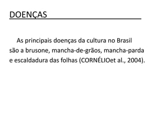 DOENÇAS____________________
As principais doenças da cultura no Brasil
são a brusone, mancha-de-grãos, mancha-parda
e escaldadura das folhas (CORNÉLIOet al., 2004).
 