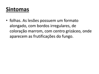 Sintomas
• folhas. As lesões possuem um formato
alongado, com bordos irregulares, de
coloração marrom, com centro grizáceo, onde
aparecem as frutificações do fungo.
 
