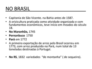 NO BRASIL____________________
• Capitania de São Vicente. na Bahia antes de 1587.
• A orizicultura praticada como atividade organizada e com
fundamentos econômicos, teve início em meados do século
18.
• No Maranhão, 1745
• Pernanbuco 1750
• Pará em 1772
• A primeira exportação de arroz pelo Brasil ocorreu em
1773, com arroz produzido no Pará, num total de 13
toneladas destinadas à Portugal.
• No RS, 1832 variedades “de montanha” ( de sequeiro).
 
