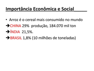 Importância Econômica e Social_____
• Arroz é o cereal mais consumido no mundo
CHINA 29% produção, 184.070 mil ton
ÍNDIA 21,5%.
BRASIL 1,8% (10 milhões de toneladas)
 