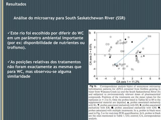 Sequenciação e qRT-PCRApósa análiseestatísticaas sondasqueobtiverammaioresvalorespara com o primeiro e segundoeixoforamrecuperadas dos clonesusadospara a construção do microarrray esequenciadas.