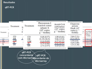 Sondas > genes que codificam as DNA e RNA polimerases  - resposta negativa.