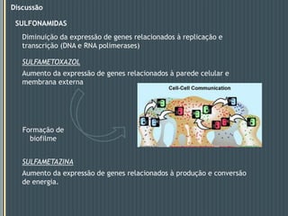 3 sondas > Chitinophagapinensis – resposta negativa ao GM, que pode indicar que este microrganismo pode ser inibido pelo gemfibrozil.