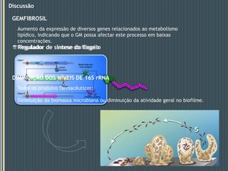 3 sondas > transporte e metabolismo lipídico (COG I) e uma relacionada com regulação da síntese flagelar – resposta positiva.ResultadosEritromicina (ER)