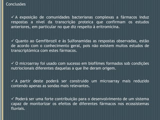 Resposta mais positiva para a sonda ligada à proteína chaperonaDnaK (proteína de choque térmico 70).