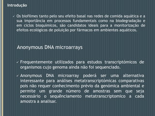 Muitas actuam a concentrações relativamente baixas;
