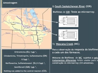 A taxa de adição ao meio excede a sua transformação ou degradação;