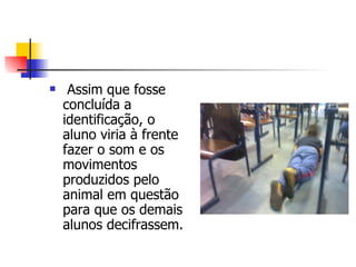   Assim que fosse concluída a identificação, o aluno viria à frente fazer o som e os movimentos produzidos pelo animal em questão para que os demais alunos decifrassem.  
