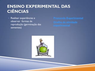 ENSINO EXPERIMENTAL DAS
CIÊNCIAS
 Realizar experiências e       Protocolo Experimental
  observar formas de            Grelha da atividade
  reprodução (germinação das     experimental
  sementes)
 