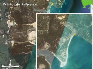 Estuário do rio Ipojuca 