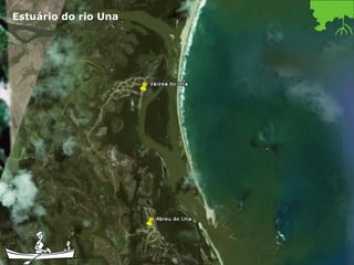 Estuário do rio Una 