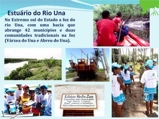 Estuário do Rio Una No Extremo sul do Estado a foz do rio Una, com uma bacia que abrange 42 municípios e duas comunidades tradicionais na foz (Várzea do Una e Abreu do Una). 