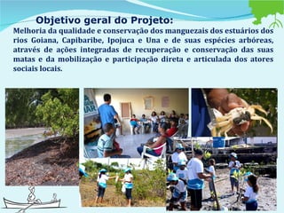Objetivo geral do Projeto: Melhoria da qualidade e conservação dos manguezais dos estuários dos rios Goiana, Capibaribe, Ipojuca e Una e de suas espécies arbóreas, através de ações integradas de recuperação e conservação das suas matas e da mobilização e participação direta e articulada dos atores sociais locais.  