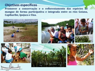 Objetivos específicos  Promover a conservação e o reflorestamento das espécies de mangue de forma participativa e integrada entre os rios Goiana, Capibaribe, Ipojuca e Una.    