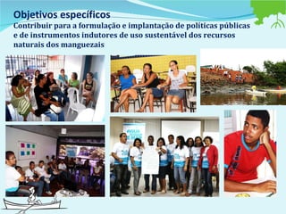 Objetivos específicos  Contribuir para a formulação e implantação de políticas públicas e de instrumentos indutores de uso sustentável dos recursos naturais dos manguezais 