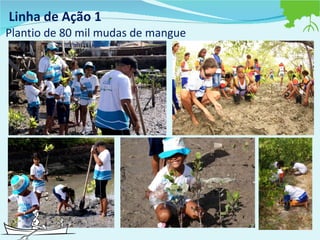 Linha de Ação 1  Plantio de 80 mil mudas de mangue 