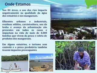 Onde Estamos Nas 04 áreas, o uso dos rios impacta negativamente na qualidade da água dos estuários e nos manguezais. Efluentes urbanos e industriais, resíduos sólidos, carcinicultura, uso da lenha e avanço da urbanização são presentes em todos os casos e impactam na vida de mais de 4.000 famílias que vivem da pesca e coleta de produtos dos manguezais.  Em alguns estuários, o turismo sem controle e a pesca predatória também trazem impactos preocupantes 