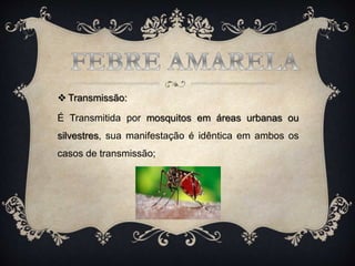  Transmissão:
É Transmitida por mosquitos em áreas urbanas ou
silvestres, sua manifestação é idêntica em ambos os
casos de transmissão;
 