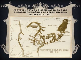 P R O V Á V E L R O TA D A D I S S E M I N A Ç Ã O D A O N D A
E P I Z O Ó T I C O - E P I D Ê M I C A D E F E B R E A M A R E L A
N O B R A S I L – 1 9 3 2 -
 
