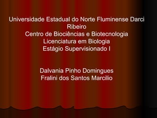 Universidade Estadual do Norte Fluminense Darci Ribeiro Centro de Biociências e Biotecnologia Licenciatura em Biologia Estágio Supervisionado I Dalvania Pinho Domingues Fralini dos Santos Marcilio 