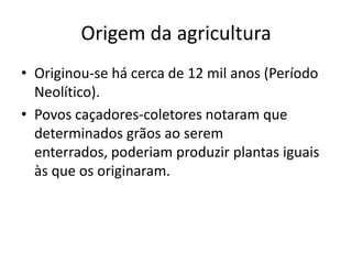 Origem da agricultura
• Originou-se há cerca de 12 mil anos (Período
  Neolítico).
• Povos caçadores-coletores notaram que
  determinados grãos ao serem
  enterrados, poderiam produzir plantas iguais
  às que os originaram.
 