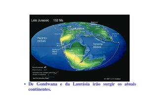 Apresentação Aula 1