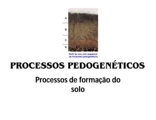 Processos de formação do
          solo
 