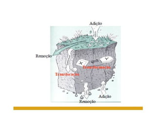 ApresentaçãO Aula 7